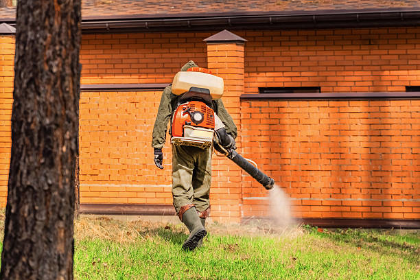 Trusted Cockroach Control service in Franklin Park, IL - Nex Pest Control